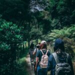People hiking on a forest trail.