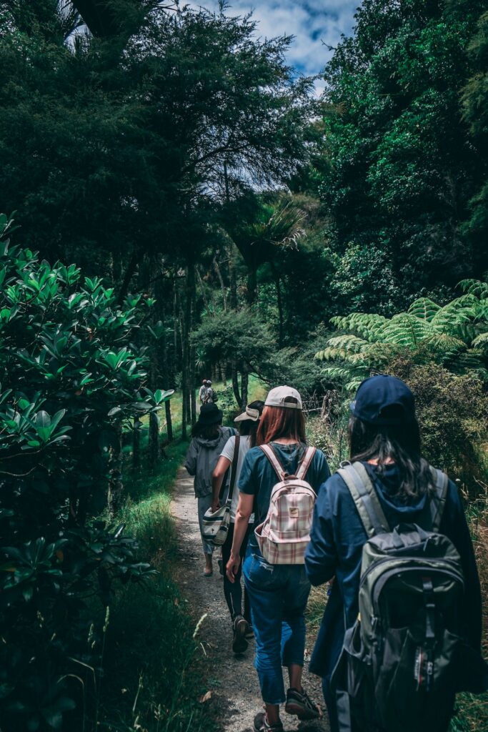 People hiking on a forest trail.